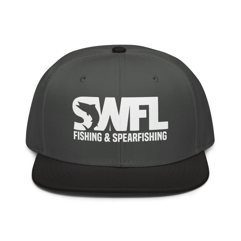 SWFL Grey Snapback — view 1